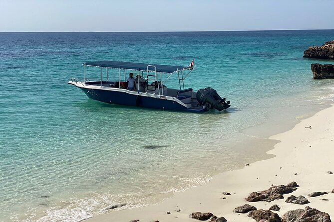 Snorkeling Adventure to Daymaniat Islands - The eco-friendly side of the outing