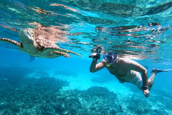 Snorkeling Adventure to Daymaniat Islands - The 45 to 60 minute boat ride offshore