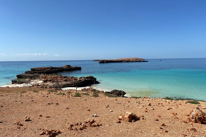 Snorkeling at Dimaniyat Islands and Dolphin Watching - The beach stop and time in the water