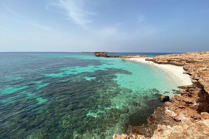 Snorkeling at Dimaniyat Islands and Dolphin Watching - Group size, guides, and comfort