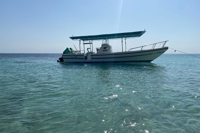Snorkeling at Dimaniyat Islands and Dolphin Watching - Is $87 a fair price?