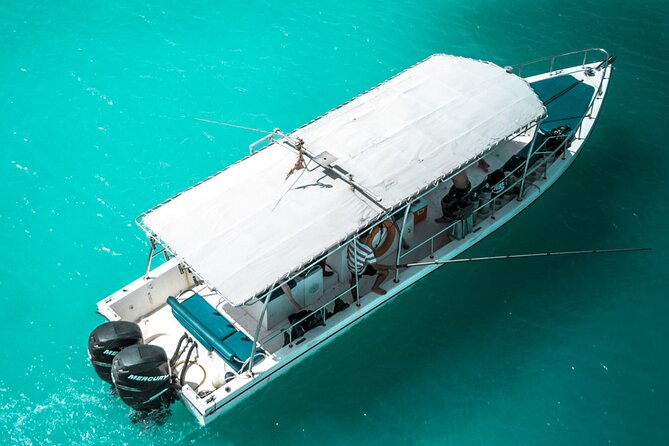 Snorkeling Experience at Ad Daymaniyat Islands in Muscat - Quick points before you book