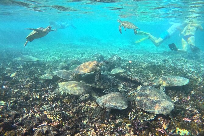 Snorkeling Experience at Ad Daymaniyat Islands in Muscat - Timing, weather, and cancellation details