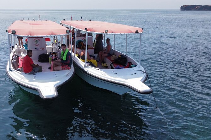Snorkeling trips to Daymaniat Islands Sharing Trip - Why the Daymaniyat Islands are worth your morning