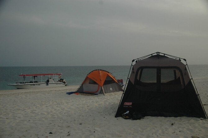 Snorkeling trips to Daymaniat Islands Sharing Trip - Sharks, rays, dolphins, and other possible sightings