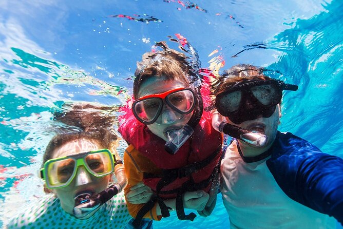 Snorkeling trips to Daymaniat Islands Sharing Trip - What the $75.05 price includes