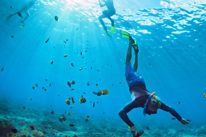 Snorkeling trips to Daymaniat Islands Sharing Trip - Timing, weather, and the best season