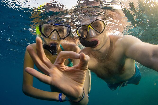 Snorkeling trips to Daymaniat Islands Sharing Trip - What happens at the snorkeling sites