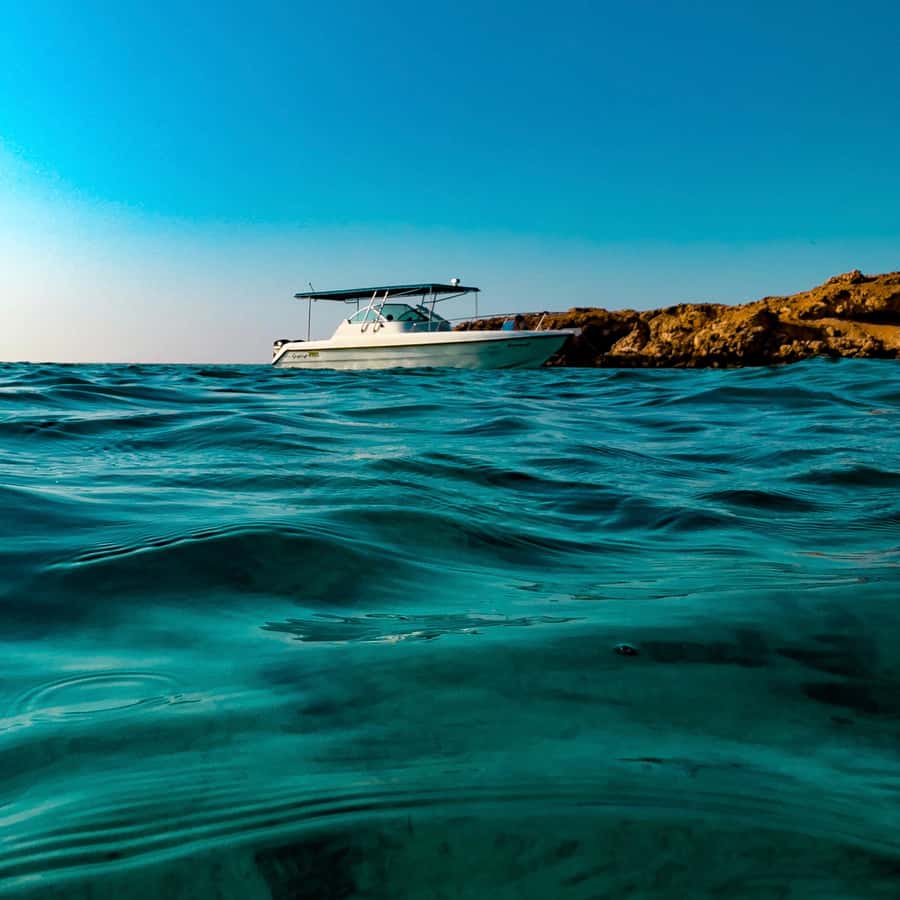 Snorkeling with turtles at Ad Daymaniyat Islands - Quick points about the turtle trip
