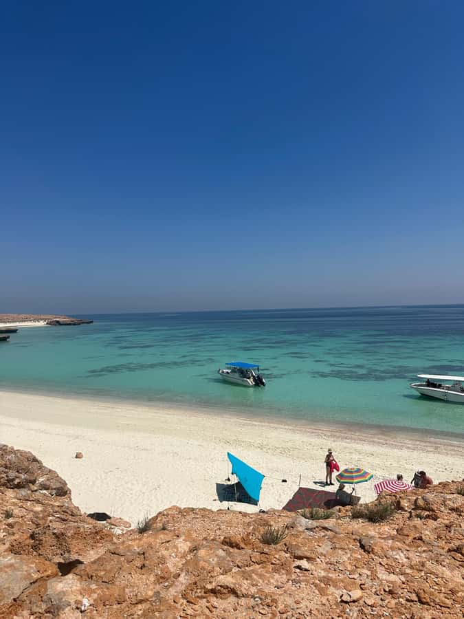 Snorkeling with turtles at Ad Daymaniyat Islands - Three hours among the Ad Dimaniyat Islands