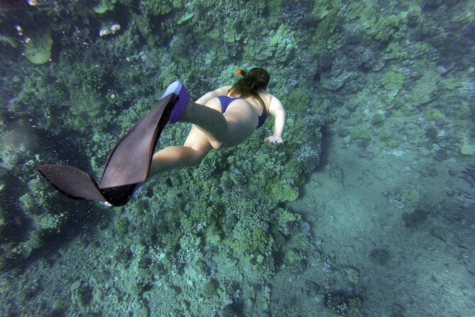 Snorkelling tours to Daymaniyat island - Why Daymaniyat Islands make a good Muscat escape