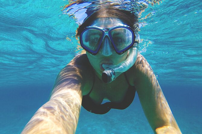 Snorkelling tours to Daymaniyat island - First snorkeling stop: the best chance for marine life
