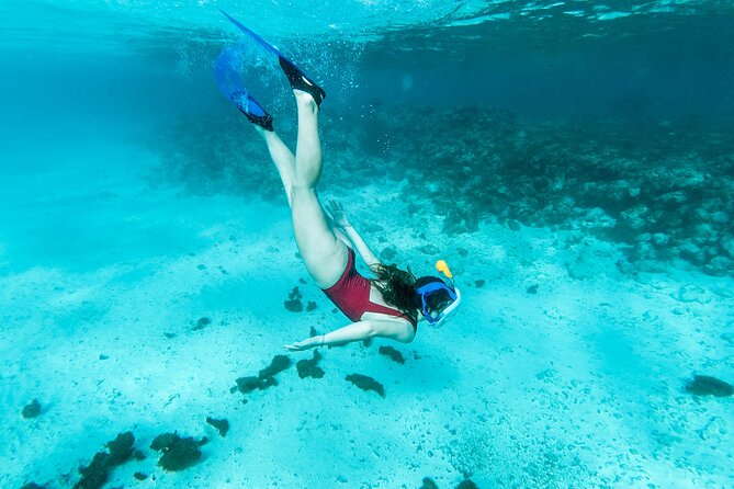 Snorkelling tours to Daymaniyat island - Beach time on Daymaniyat Islands