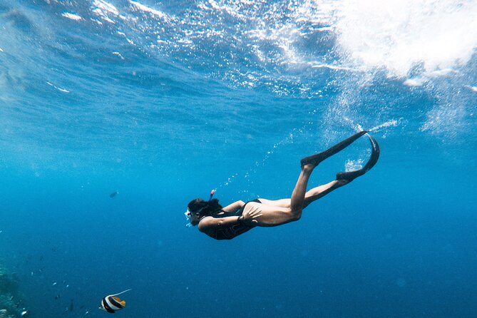 Snorkelling tours to Daymaniyat island - Who will enjoy this tour most
