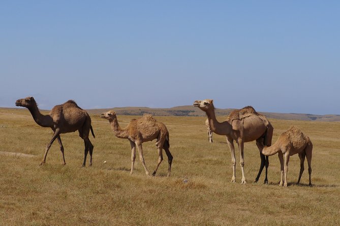 Splendours of Far West Coast - beaches, cliffs, panoramic views - Rakhyut Beach gives you time to slow down