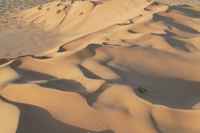 Sunset desert safari Salalah with Dinner in a Bedouins camp - Ubar, the archaeological heart of the trip