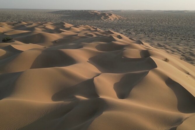 Sunset desert safari Salalah with Dinner in a Bedouins camp - The guide and private format