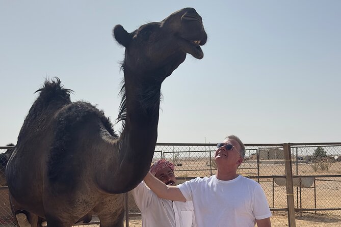 Sunset desert safari Salalah with Dinner in a Bedouins camp - Who gets the best value from the $150 price