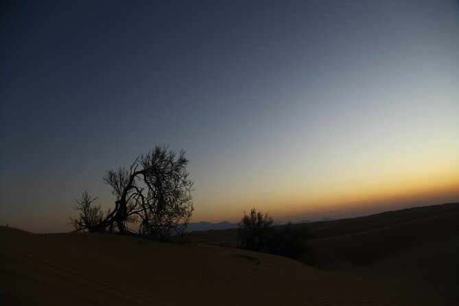 Sunset watching in Al Wahiba Sand - How the schedule works in real life