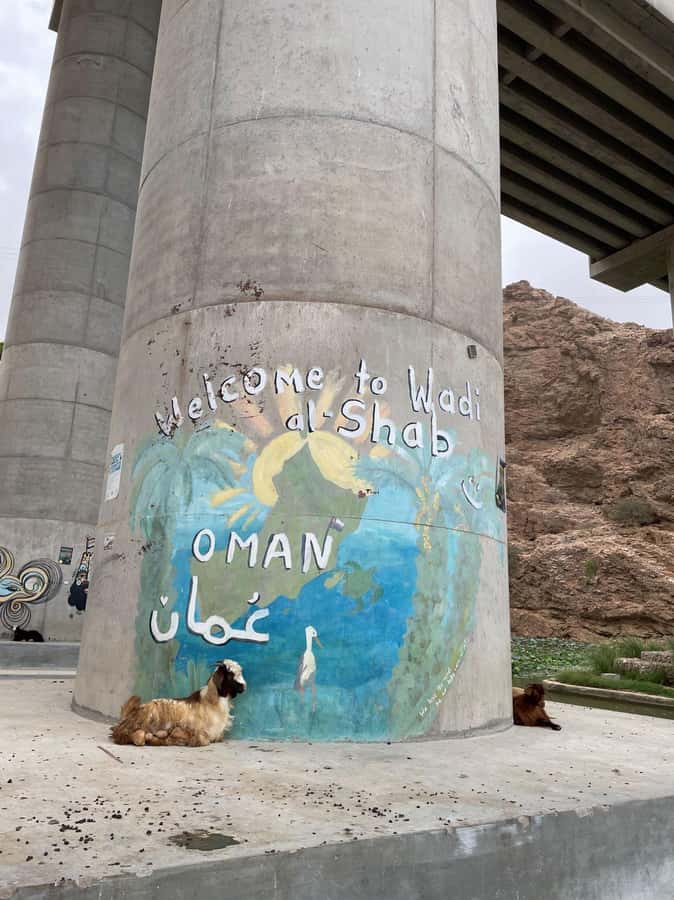 Tour Fatimah-2 Day 1 Night in Ras Al Hadd,Oman Tours Package - Why this two-day Oman route works