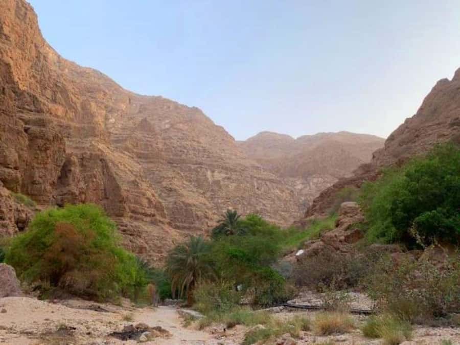 Tour Fatimah-2 Day 1 Night in Ras Al Hadd,Oman Tours Package - Wadi Shab requires shoes, time, and a willingness to get wet