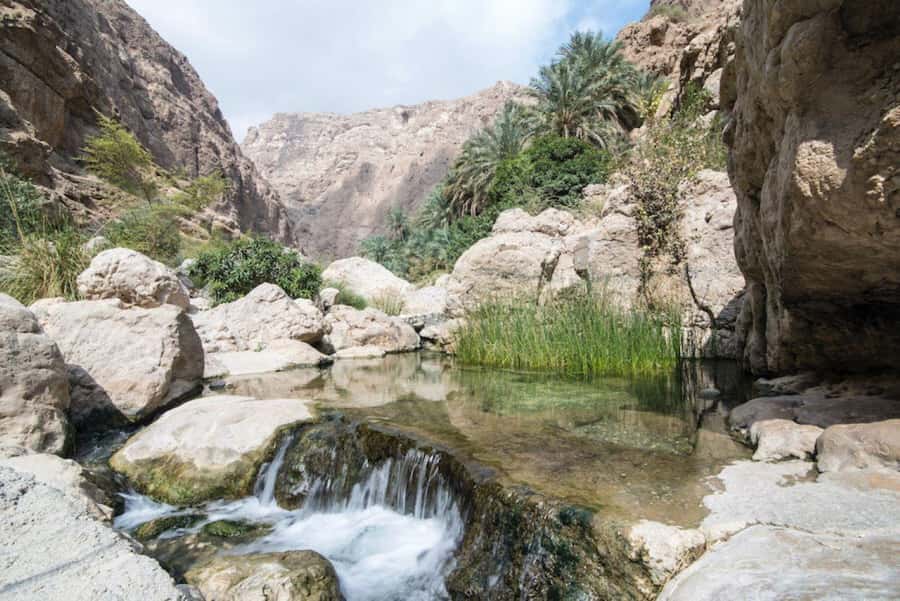 Tour Fatimah-2 Day 1 Night in Ras Al Hadd,Oman Tours Package - Sur brings boats, old houses, and a change of pace