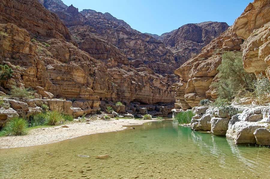 Tour Fatimah-2 Day 1 Night in Ras Al Hadd,Oman Tours Package - What the $733 price includes