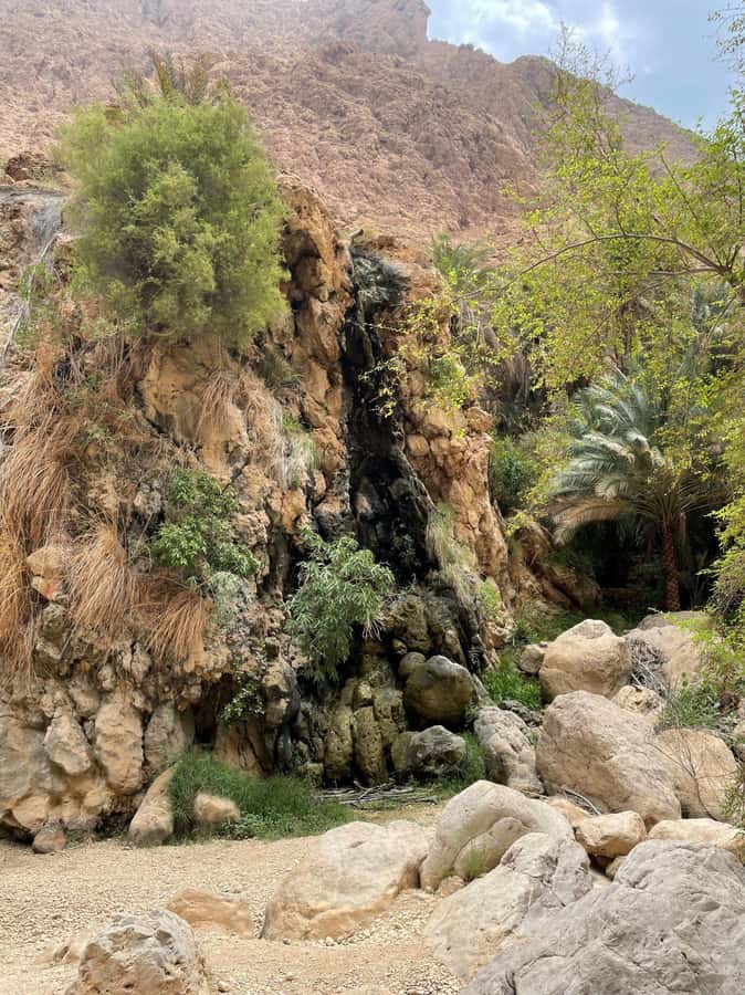 Tour Fatimah-2 Day 1 Night in Ras Al Hadd,Oman Tours Package - Who will enjoy this tour most