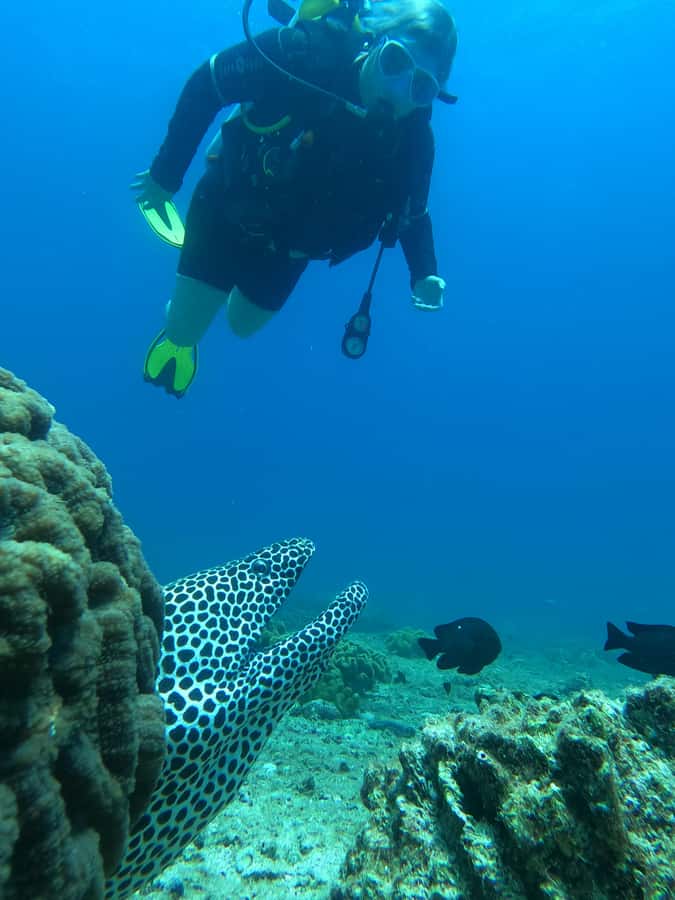 Try scuba Diving Tours To Daymaniyat Islands. - A 25-minute boat ride to the reserve