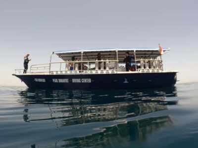 Try scuba Diving Tours To Daymaniyat Islands.