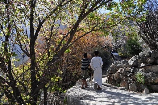 Wadi Abyadh and Wekan Village (Day trip) 4WD :Muscat Tours - Wakan Village shows Oman’s farming side
