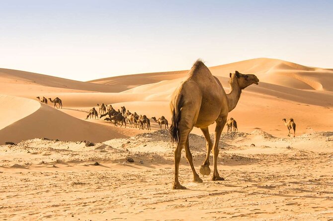 Wadi Bani Khaled & Desert Safari - Muscat, Oman - What the private 4WD setup adds