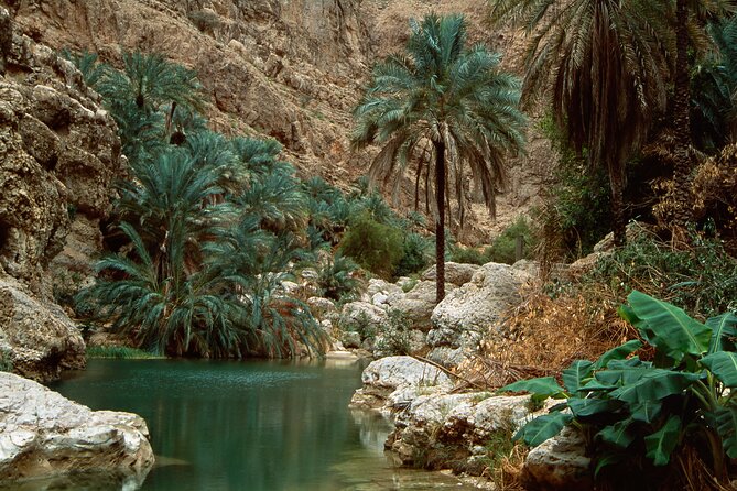 Wadi Shab and Bimmah Sinkhole Group Full Day Tour - Is $80 a fair price?