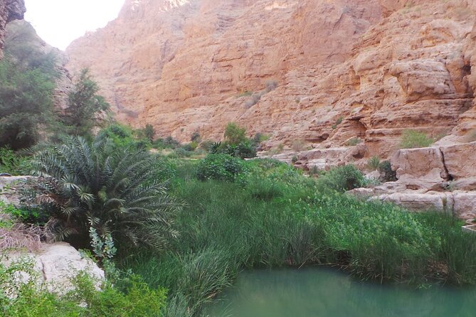 Wadi Shab Expedition - Who should book this Wadi Shab outing?