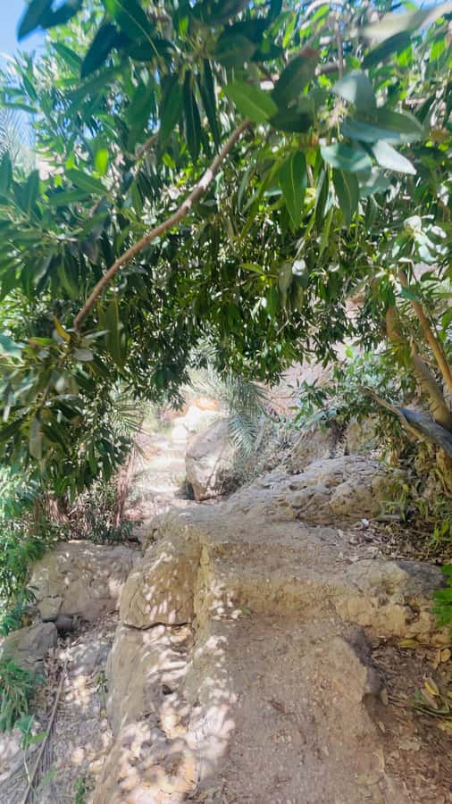 Wadi Shab Parking Meet the Local Guide for Self drivers - Swimming through the cave to the waterfall