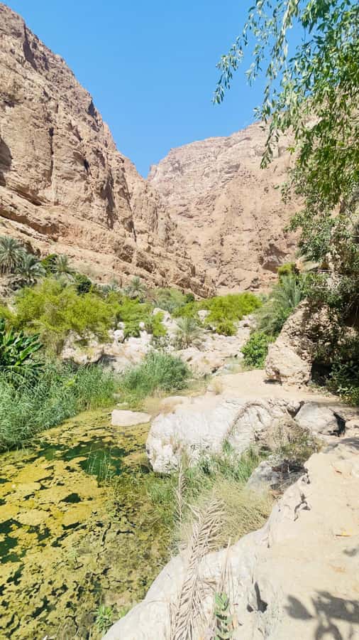 Wadi Shab Parking Meet the Local Guide for Self drivers - Coffee, local advice, and the return to the parking area