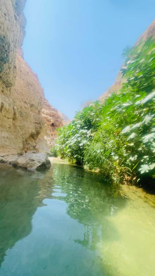 Wadi Shab Parking Meet the Local Guide for Self drivers - Is $30 good value?