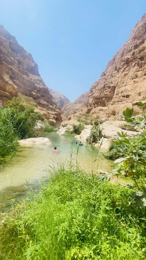 Wadi Shab Parking Meet the Local Guide for Self drivers - Who should book this Wadi Shab experience?