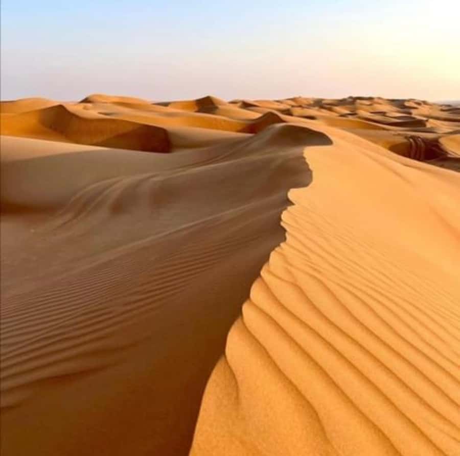 Wahiba Desert Safari Adventure , Swimm in Wadi Bani Khalid - Key points to know before you book
