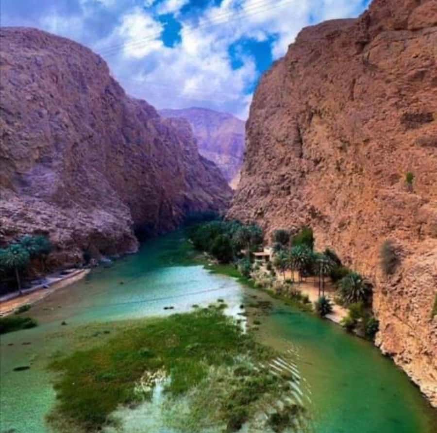 Wahiba Desert Safari Adventure , Swimm in Wadi Bani Khalid - Wadi Bani Khalid: clear pools in dry country