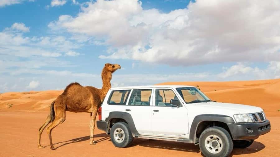Wahiba Sand and Wadi Bani Khalid Guided Group Tour - Five Things to Know Before You Go