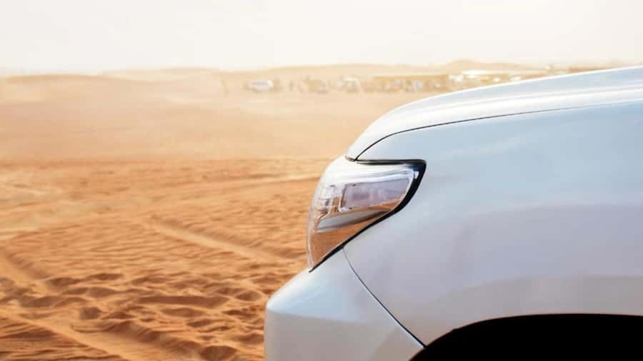 Wahiba Sand and Wadi Bani Khalid Guided Group Tour - What the $220 Price Really Buys