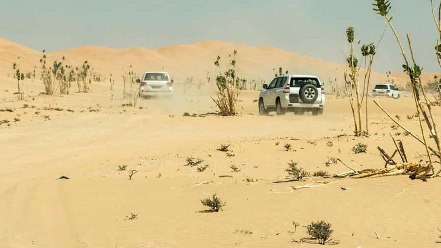 Wahiba Sand and Wadi Bani Khalid Guided Group Tour - My Booking Advice