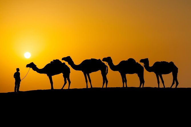 Wahiba Sand & Wadi merci khaled - A short taste of Wahiba Sands