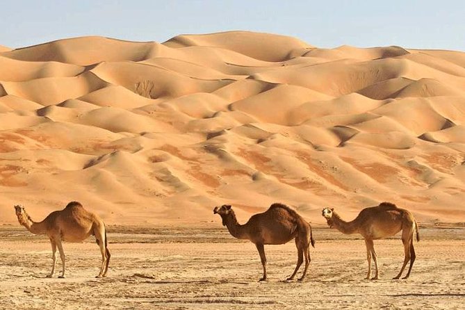 Wahiba Sands and Desert Safari from Muscat - Al Mansfah’s half-submerged mansions