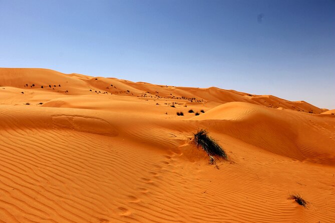 Wahiba Sands and Wadi Bani Khalid Day Tour - Wahiba Sands and the two-hour dune drive