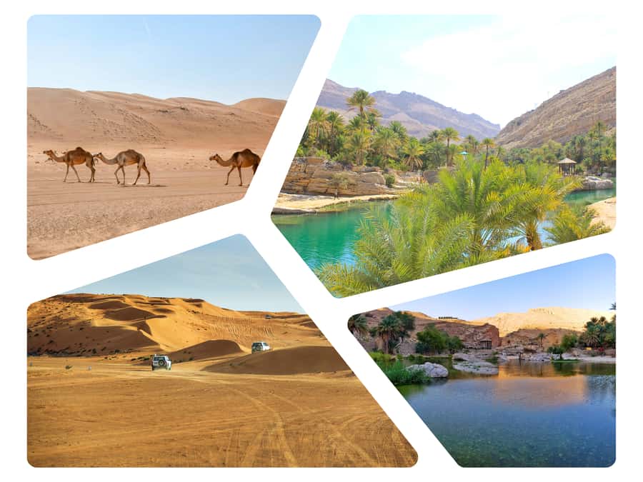 Wahiba Sands and Wadi Bani Khalid Full-Day Tour from Muscat - Five things to know before booking