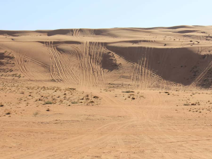 Wahiba Sands and Wadi Bani Khalid Full-Day Tour from Muscat - Lunch beside the lower pool