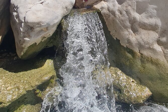 Wahiba Sands Desert and Wadi Hawar Private Tour - Who should book this Oman excursion