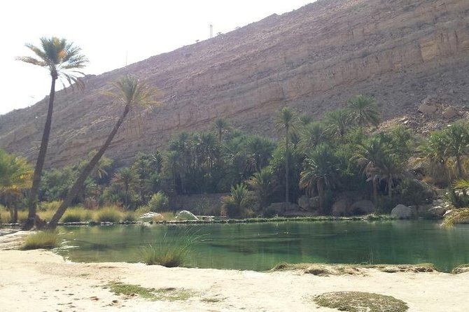 Wahiba Sands Desert Safari 4X4 - Price, food, and what you actually receive